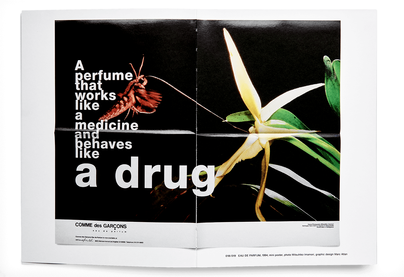 01_comme2_tiny_ 01_comme2_tiny_